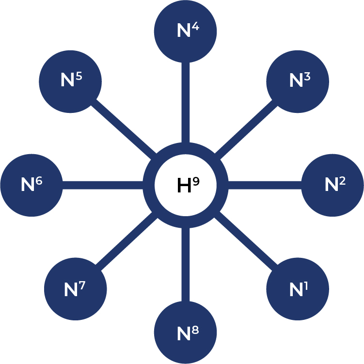 The genesis block of a geeqchain encodes it with the ability to customize its own public hub and spoke validator network, according to its needs.